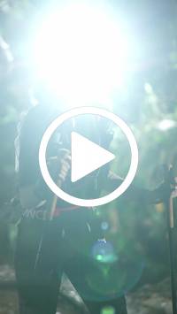 BIB:  <button type="button" onclick="openModal(27607233)" class="btn btn-primary btn-sm float-right" data-toggle="modal" data-target=".modal-high-quality">
                <i class="fa fa-download"></i> Download
                </button>